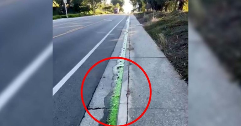 A strange, lime-green goo was spotted gushing out of Tesla's engineering headquarters in Palo Alto, California earlier this month.