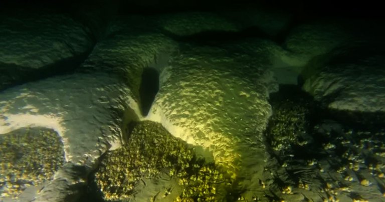 There are "dozens" of holes lining the floor of Lake Michigan — and scientists are stumped as to why they're there.
