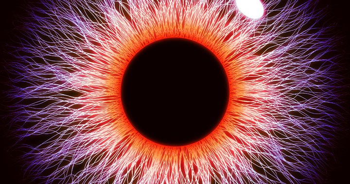 Science Corporation says its retinal implant restored central vision in patients who were legally blind in a clinical trial.