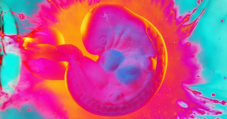 Heliospect Genomics is charging parents tens of thousands of dollars to "screen" human embryos in IVF for IQ levels. Does it work? Unclear.