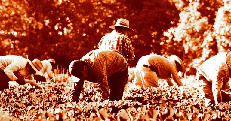 As Donald Trump's second presidential transition hurdles ever forward, his mass deportation plan is freaking farmers out.