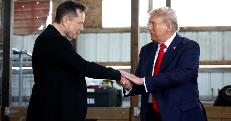 As Elon Musk's efforts to elect Donald Trump to the presidency reach their natural endpoint, their last alliance could be a cautionary tale.