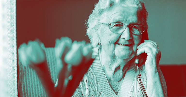 A new audio chatbot that takes the persona of a confused grandmother, fine-tuned to do nothing except make phone scammers angry. 