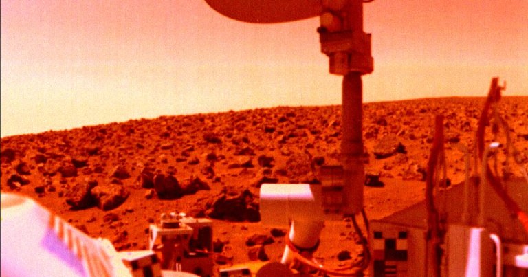 Astrobiologist Dirk Schulze-Makuch believes that humans may have unintentionally killed life on Mars in the 1970s.