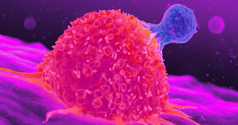 Upon learning she had a breast cancer tumor, a Croatian virologist decided to grow her own viruses to fight the disease — and it worked.