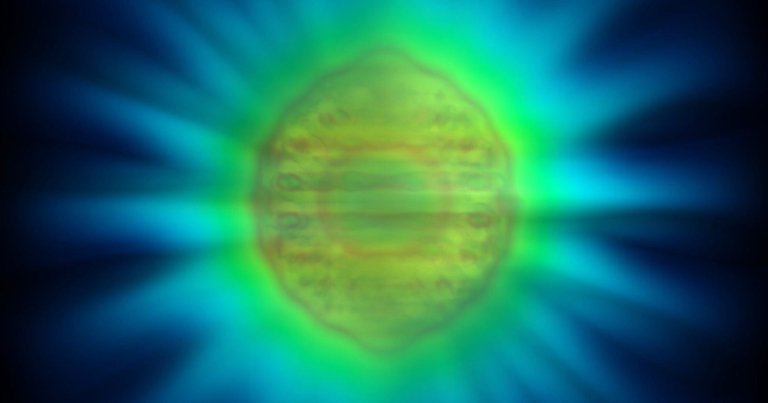 We now have a new idea of what photons look like from a model that predicts how these particles of light interact with their environment.