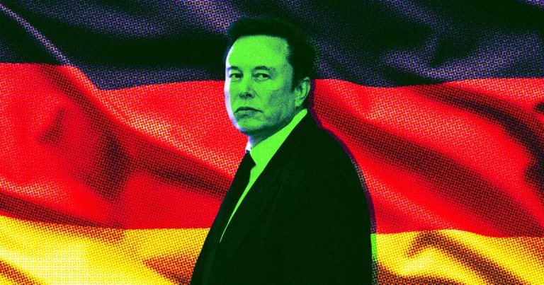 Elon Musk has endorsed Germany's far-right AfD — even though the party is against his own business interests.