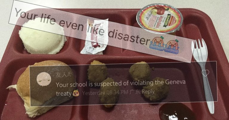 Two mocking RedNote comments superimposed over an unappetizing American school lunch.