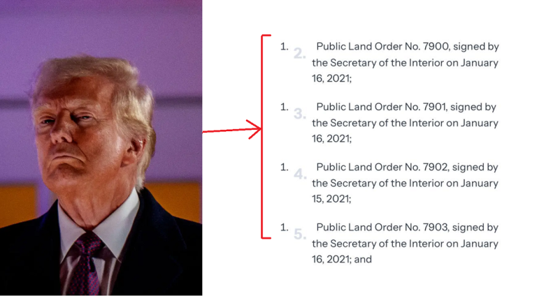 Artifacts in Trump's executive orders have led to speculation that those who penned them might have turned to AI for help.