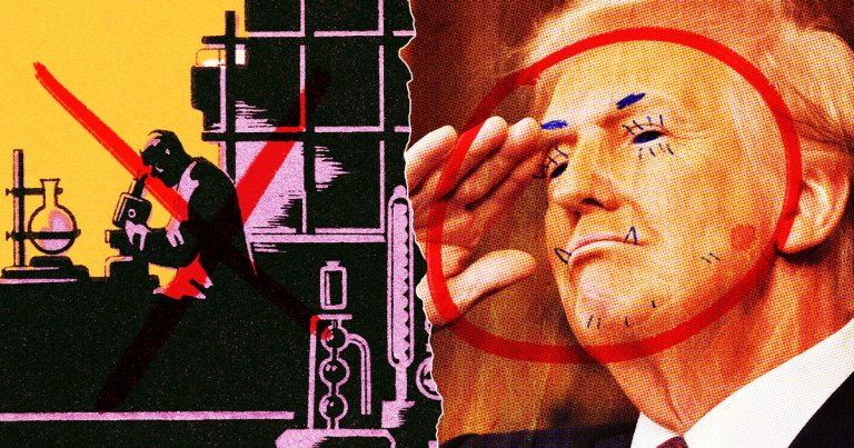 As part of the second Trump Administration's diversity witchhunt, cancer research and other crucial projects have been paused indefinitely.