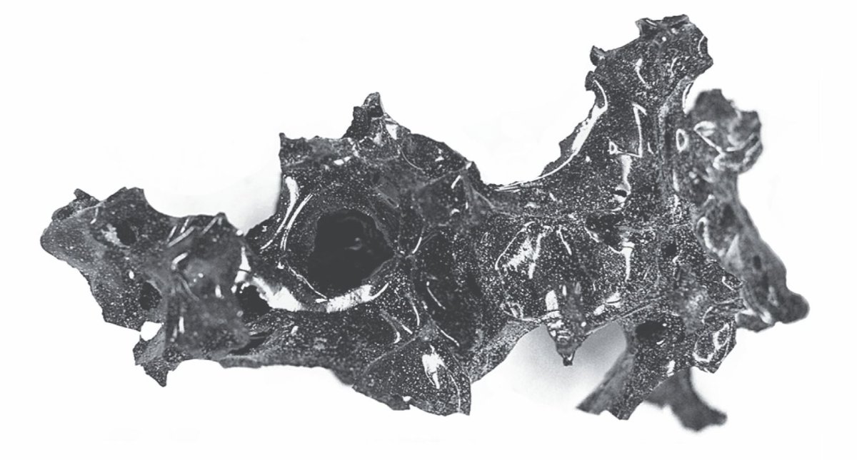 A brain that appears to have transformed into glass during the eruption of Mt. Vesuvius.