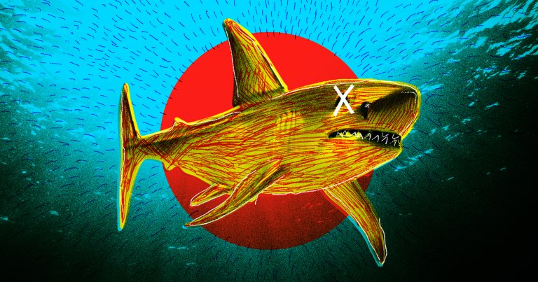 An unusual number of great white sharks are turning up dead, and scientists are struggling to understand why.