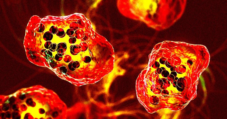 The United States just had its first measles death in a decade as the preventable respiratory disease continues to spread nationwide.