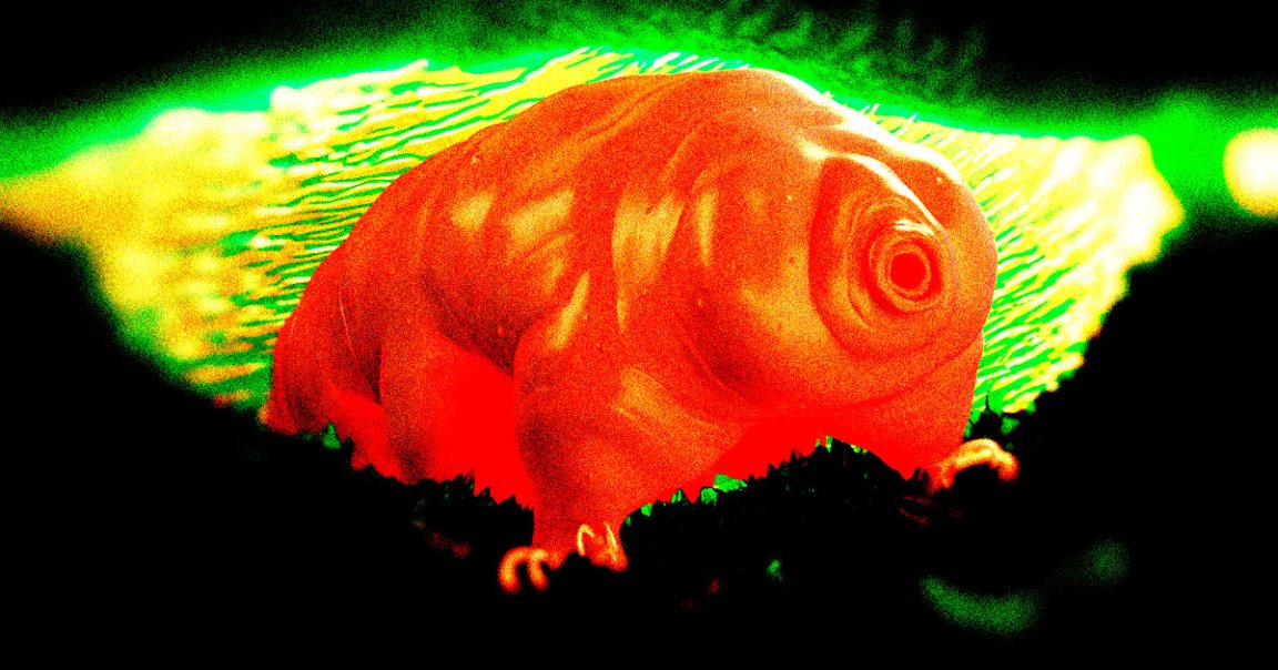 Researchers found that a protein from tardigrades could help astronauts ward off the damage from space radiation.