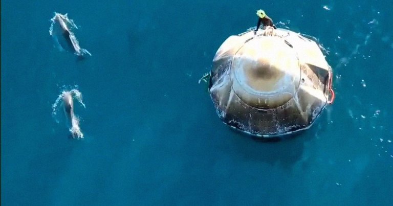 After splashing down in the Gulf of Mexico, stranded NASA astronauts Williams and Wilmore were greeted by a curious pod of dolphins.