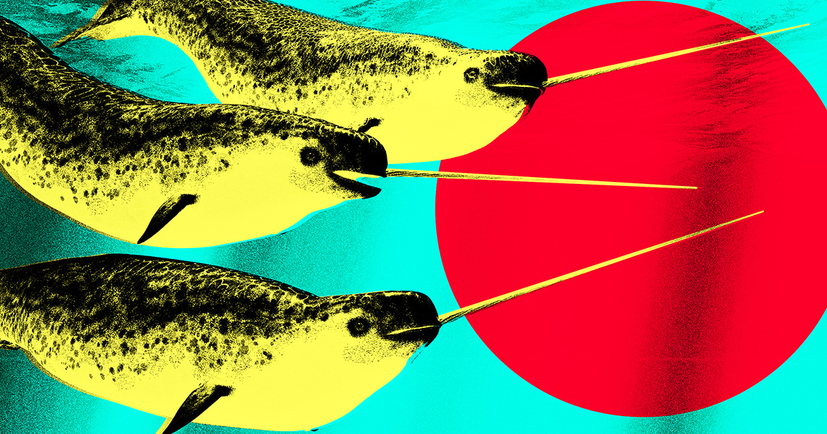 Behold Rare Footage of What Narwhals Actually Use Their Tusks For