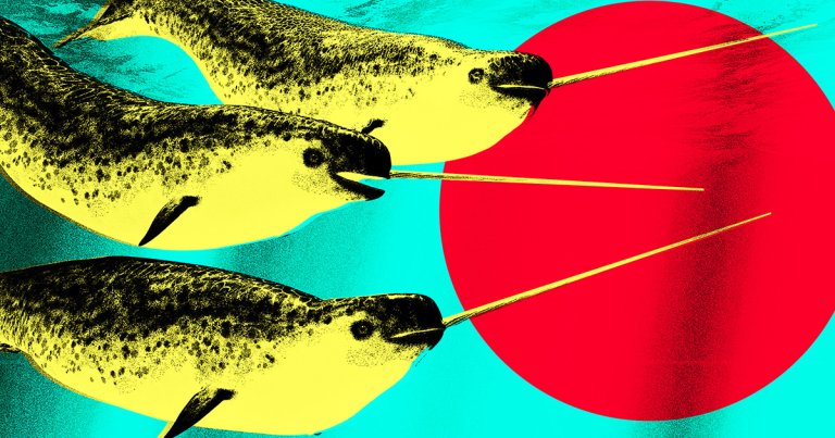 Using drones, a team of researchers have captured the first footage of narwhals using their tusks in the wild.