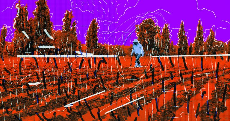 Around the world, on separate continents with no contact with each other, multiple groups of ancient humans invented farming simultaneously.