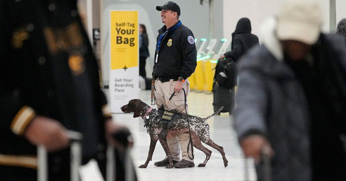 As Elon Musk's DOGE continues to plunder the federal government, even the TSA's bomb-sniffing K9 units aren't safe.
