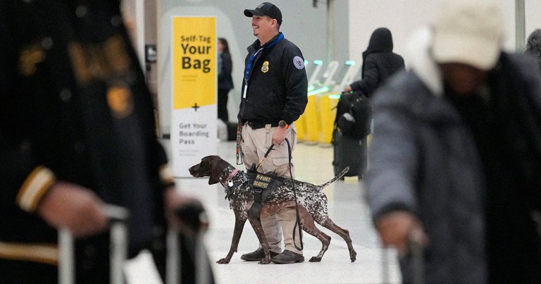 As Elon Musk's DOGE continues to plunder the federal government, even the TSA's bomb-sniffing K9 units aren't safe.