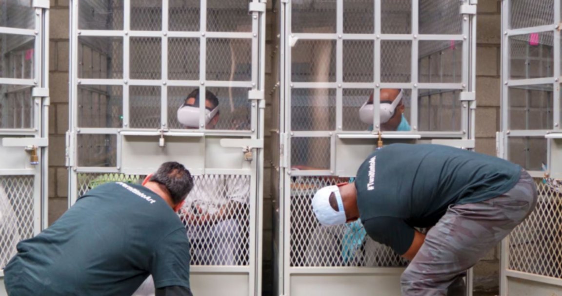 Stuck in cramped cells for days and weeks at a time, incarcerated people are being whisked away to beautiful worlds through the magic of VR.