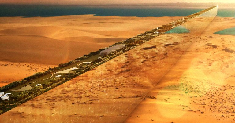 The Saudi crown family's dreams of building a gigantic city of the future called Neom in the desert are getting a brutal reality check.