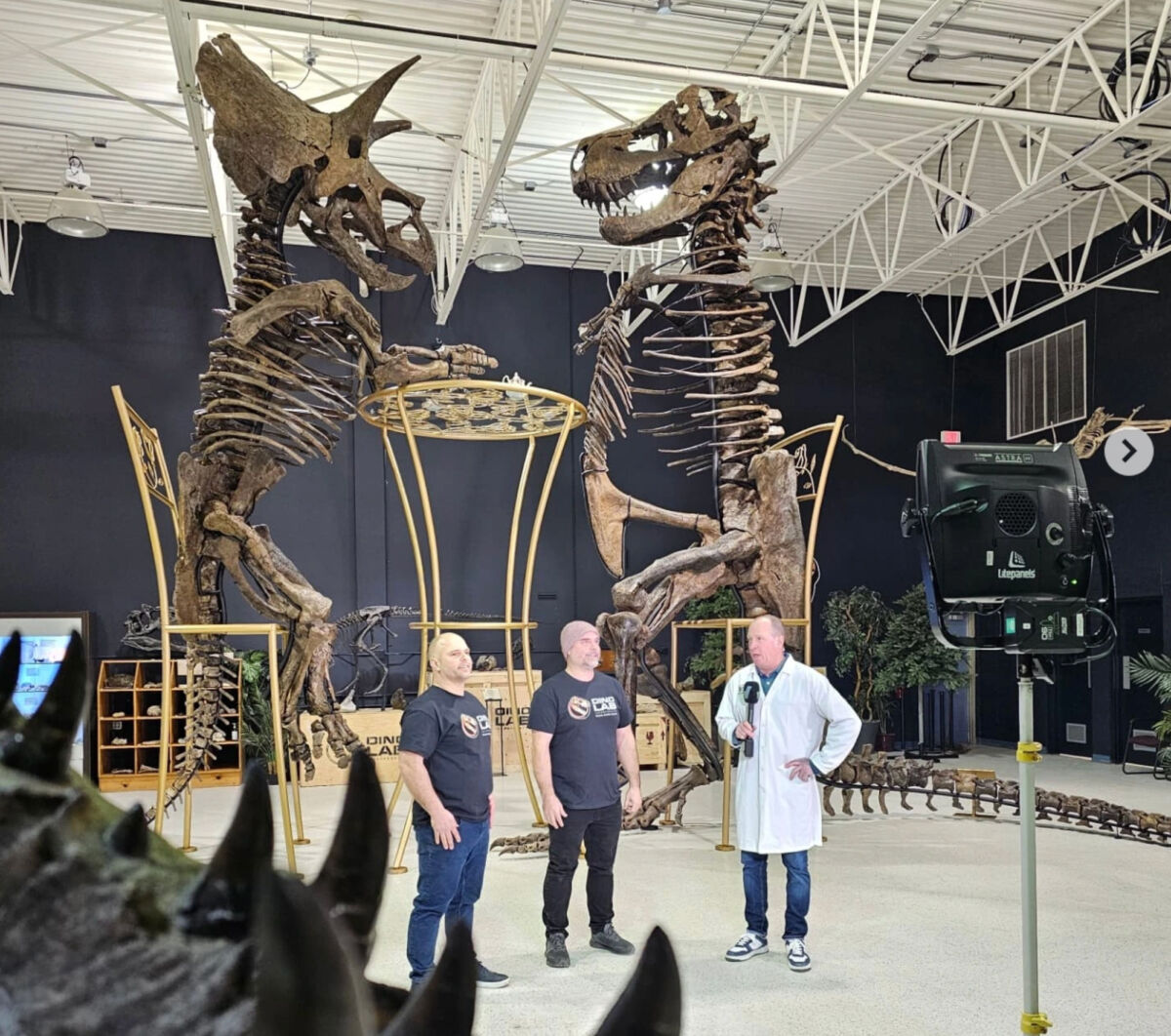 Image via Dino Lab/Instagram. 