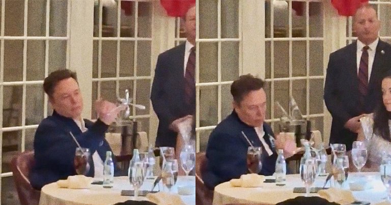 At a White House dinner, unelected co-president Elon Musk showed off a bizarre structure he made of metal to a disinterested employee.