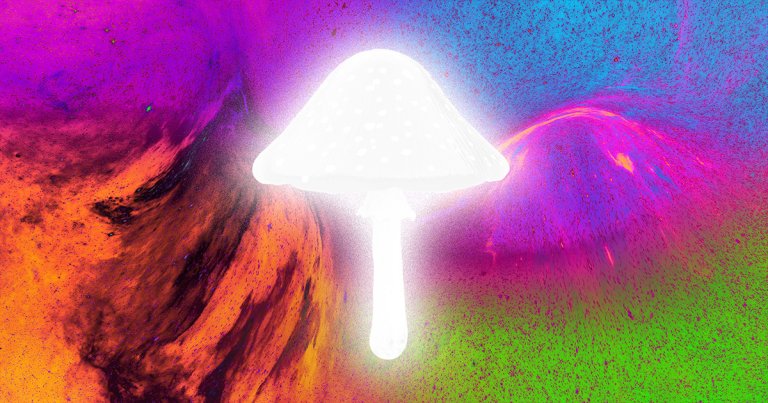 SpaceX's new Fram2 mission is experimenting with growing mushrooms in microgravity — but not the magic kind.