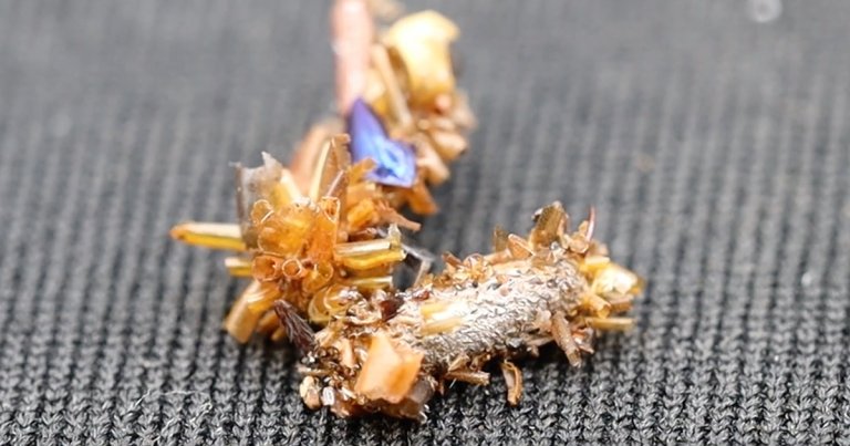 A new species of caterpillar called the "bone collector" strips the body parts of its slain enemies and uses them to make a gruesome suit.