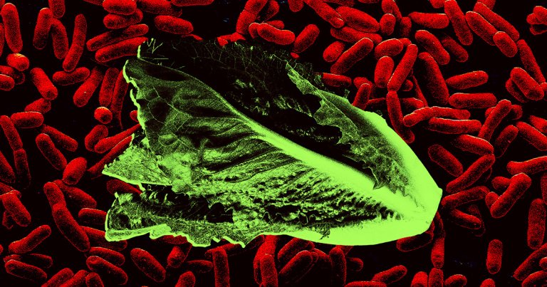The FDA investigated a massive E. coli outbreak earlier this year — but it's refusing to say who was behind it.