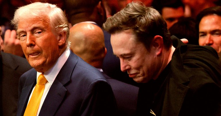 American statistician Nate Silver has found that billionaire Elon Musk's popularity has fallen off a cliff.
