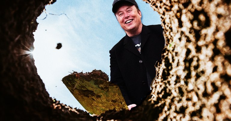 Elon Musk has saddled Tesla with huge "brand damage" that's eaten into the automaker's already declining sales.