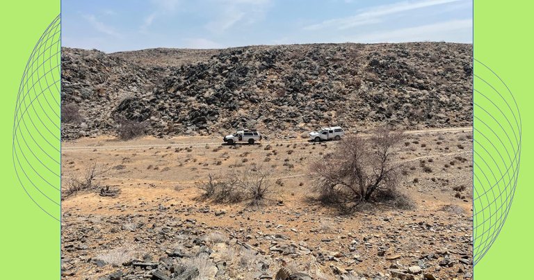 In the deserts of Africa and the Middle East, scientists have discovered tiny rock tubes that appear to have been made by something alive.