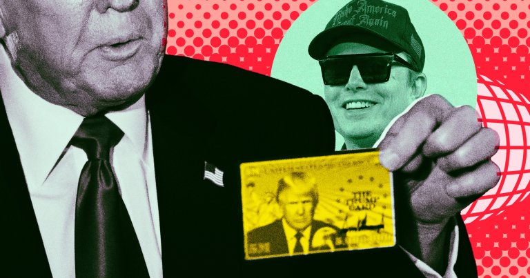 South African-born Elon Musk says he's "doing a quiet trial" of president Donald Trump's dubious "gold card" immigration program.