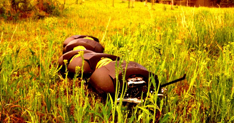 Startup Ground Control Robotics has created a bio-inspired centipede that uses sensors and motor-actuated limbs to control weeds.
