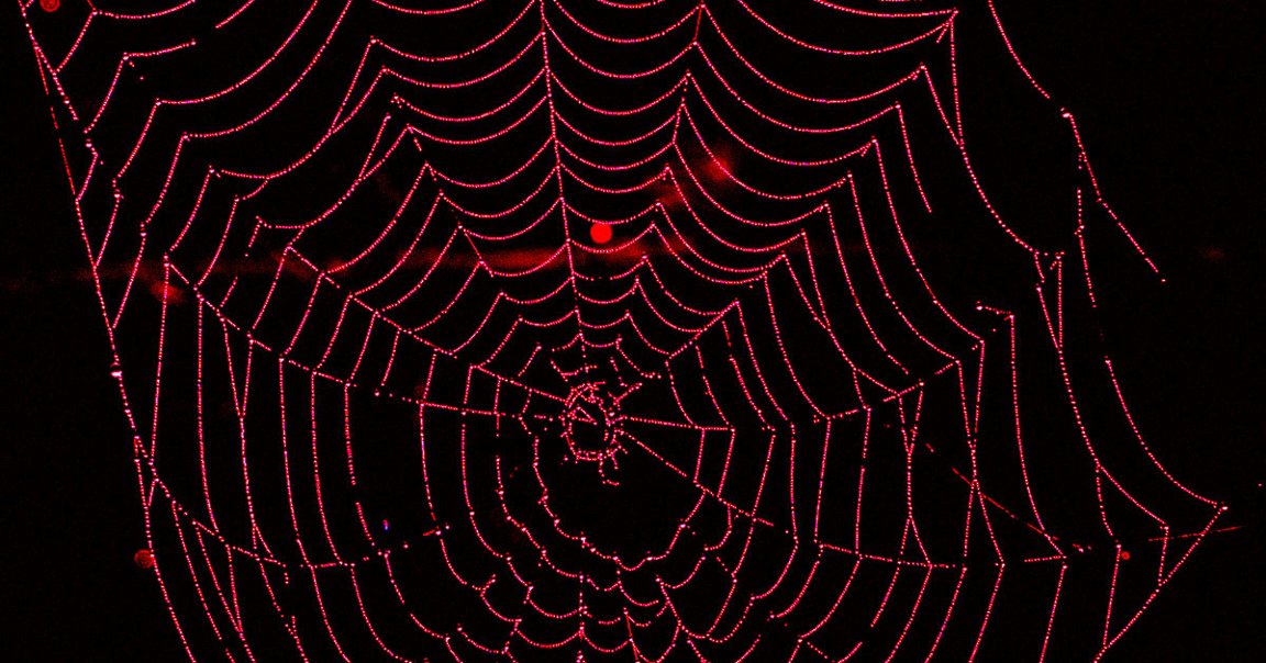 Researchers used gene-editing technique CRISPR to modify the DNA sequences of house spiders, causing them to produce red fluorescent silk.