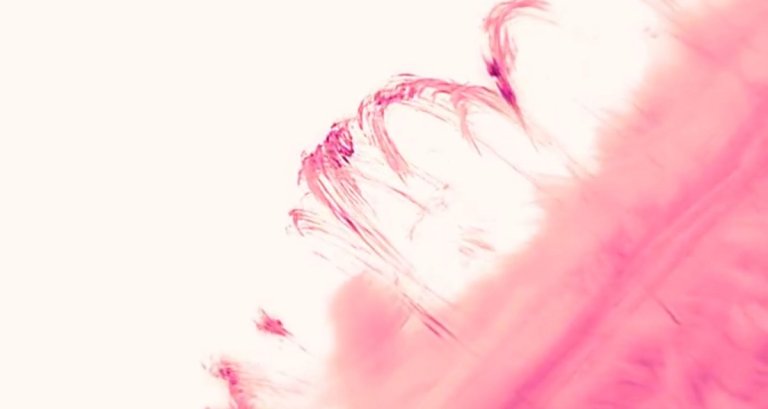 Astronomers have captured the Sun's corona in astonishing detail, revealing mesmerizing features like coronal rain — all in pink.