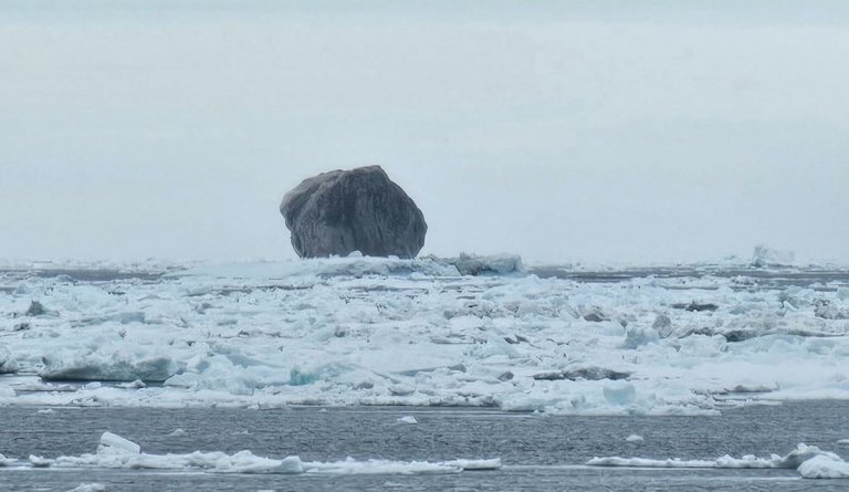 There's a huge black iceberg floating off the frigid coast of Northeastern Canada — and a photo of the strange structure has gone viral.