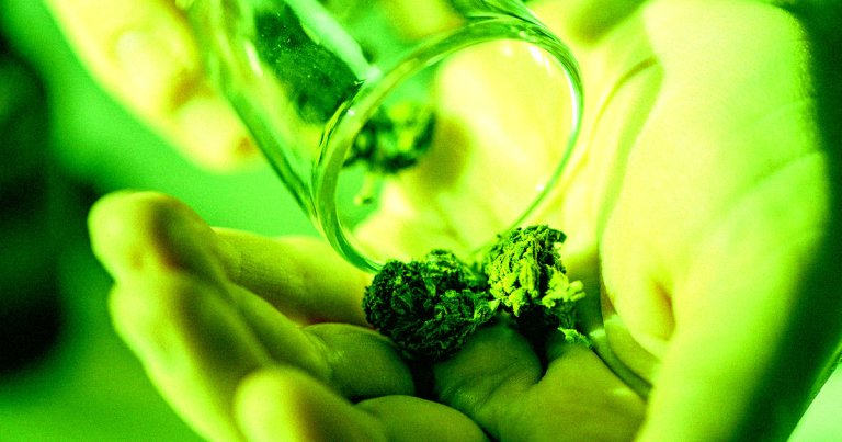 Cleaners found marijuana at the Institute of Peace that was "apparently thrown out by DOGE staffers" after they left the building.