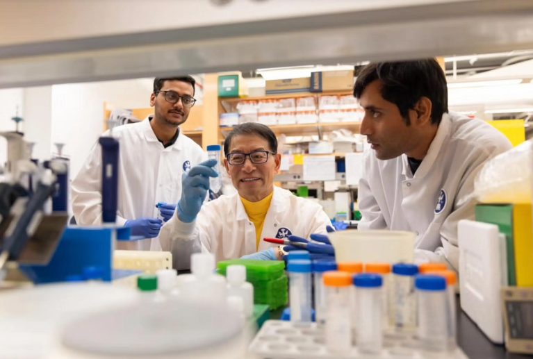 Researchers have successfully implanted  a "smart" tooth implant using a gentler form of surgery inside the mouths of rats.