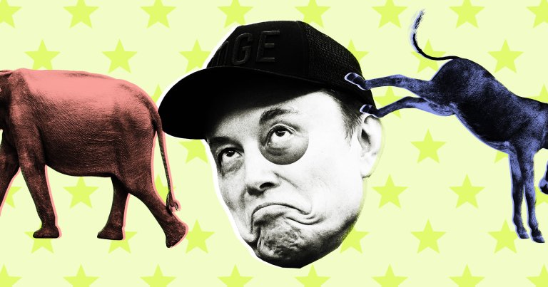 After making the bold move at lashing out at his own political allies, Musk's enthusiastic support among Republicans has faltered.