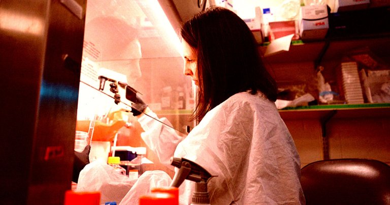 As the Trump administration continues its crusade against science, the careers of would-be researchers in the US are on the line.