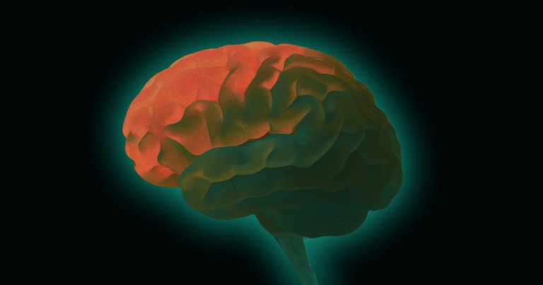 Scientists have found evidence that the human brain, of all things, possesses faint luminescent properties.