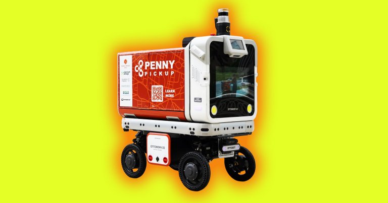 Detroit has become a hotbed for robot startups whose machines can mow lawns, remove snow, and pick up trash on city beaches.