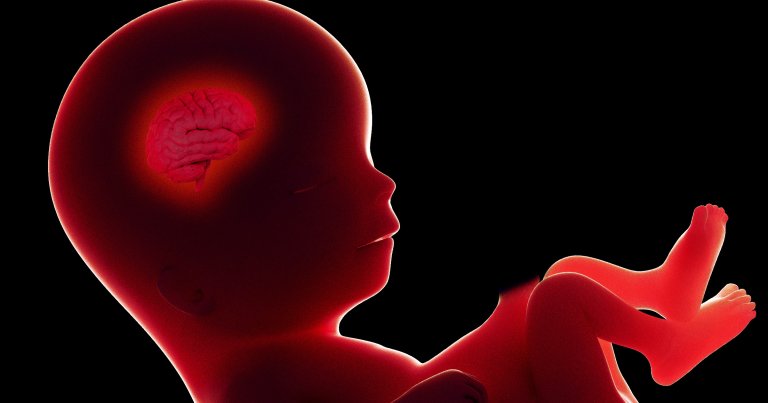 A troubling new IVF startup claims it can predict a child's IQ and risk of disease based on the parent's race and genetic testing.