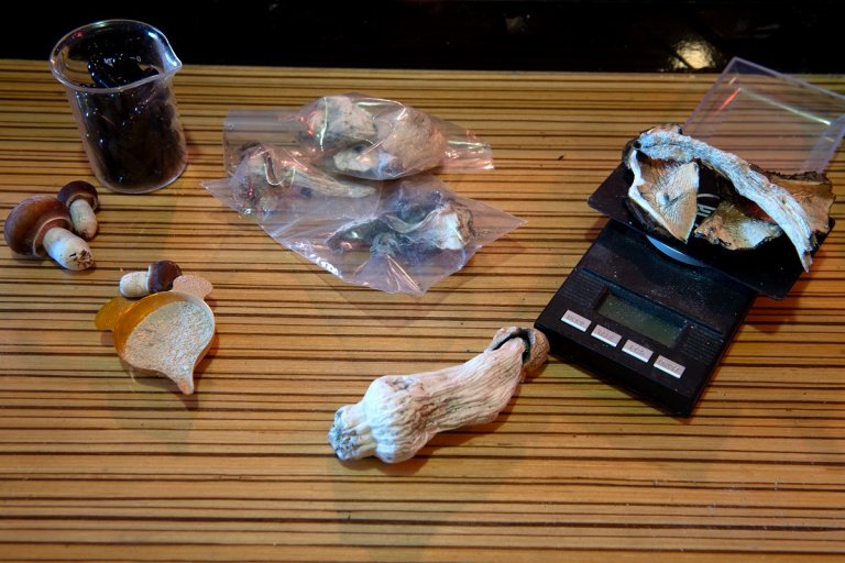 In a new study, scientists have uncovered evidence that psilocybin, the main compound in magic mushrooms, may be a cure for aging. 