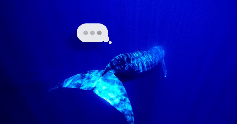 Researchers are alarmed after noticing a significant drop in the number of vocalizations from blue whales.