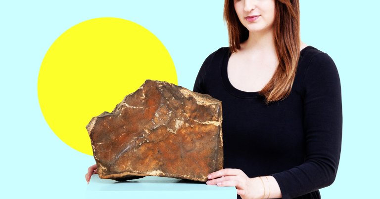 What is by far the largest meteorite from Mars ever found on Earth has been bought by an anonymous collector.