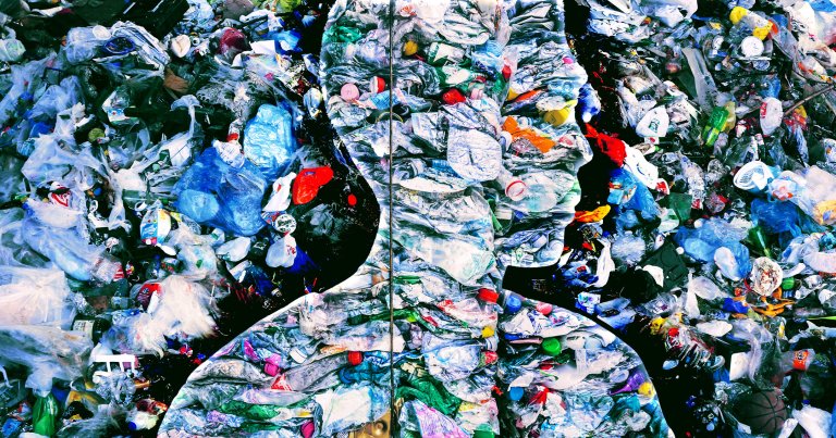 Pollutants like plastics, forever chemicals, carbon exhaust, and bisphenols aren't just aberrations, but staples of life on Earth.